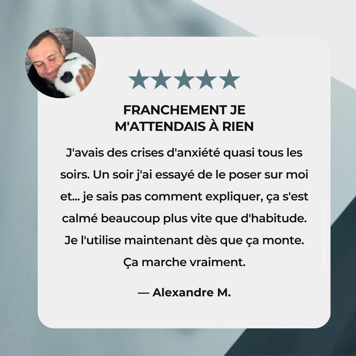 Mookie le Panda Lesté