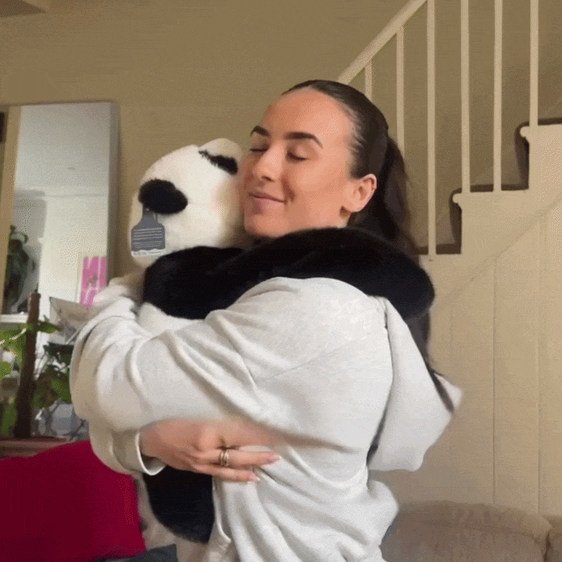 Mookie le Panda Lesté