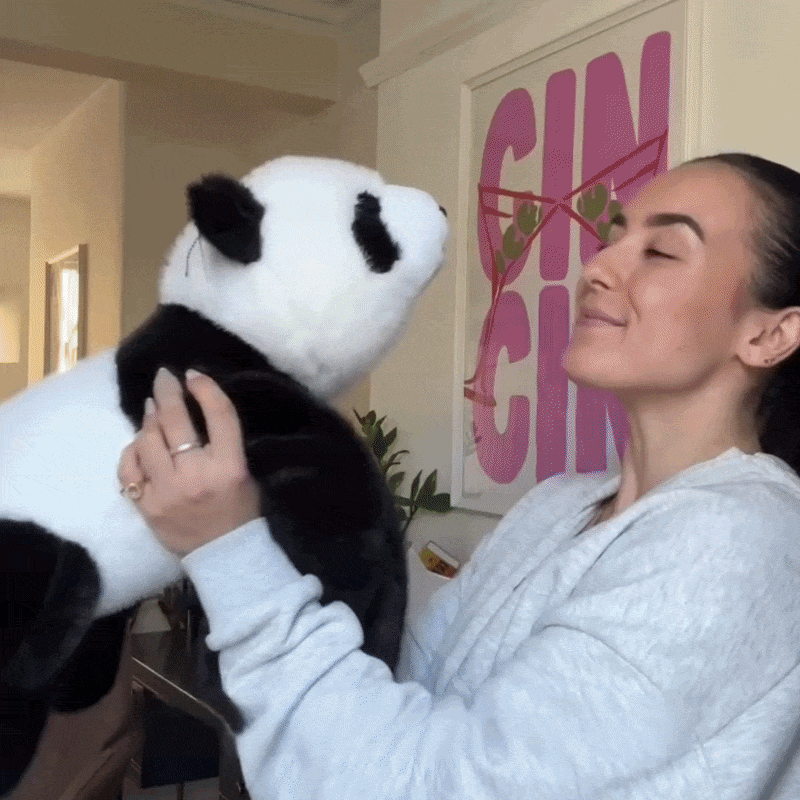 Mookie le Panda Lesté