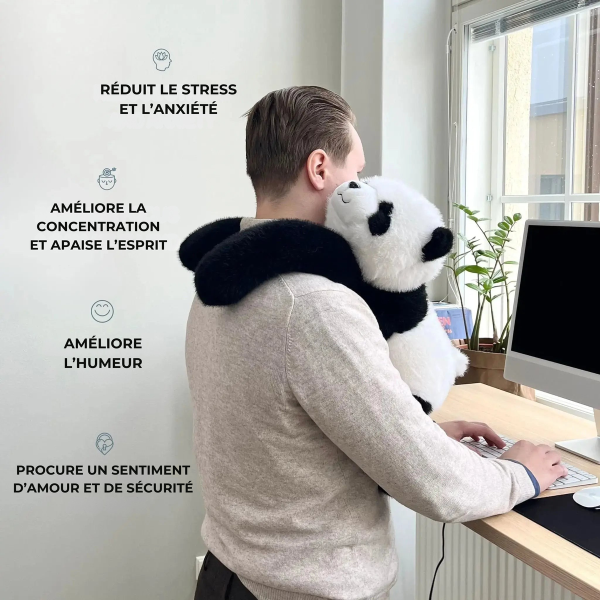 Mookie le Panda Lesté